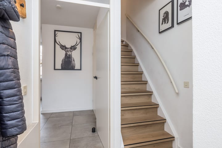 Foto 5 van Zadelmaker 7