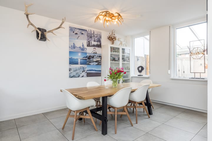 Foto 12 van Zadelmaker 7