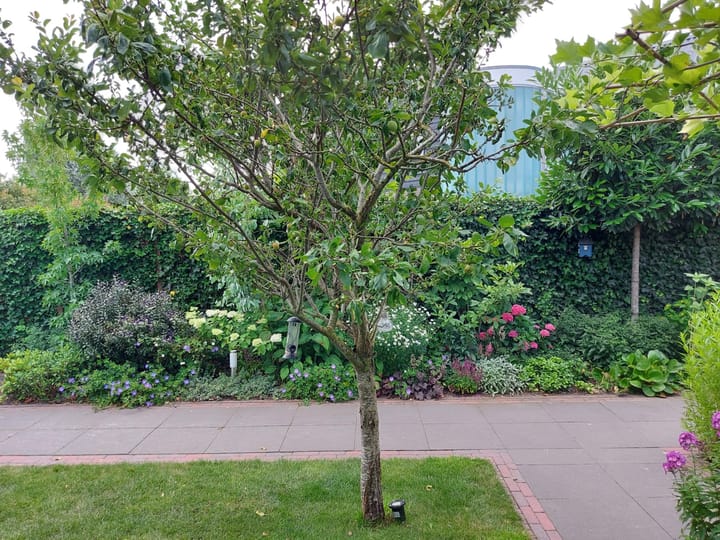 Foto 47 van Holkerweg 50-B