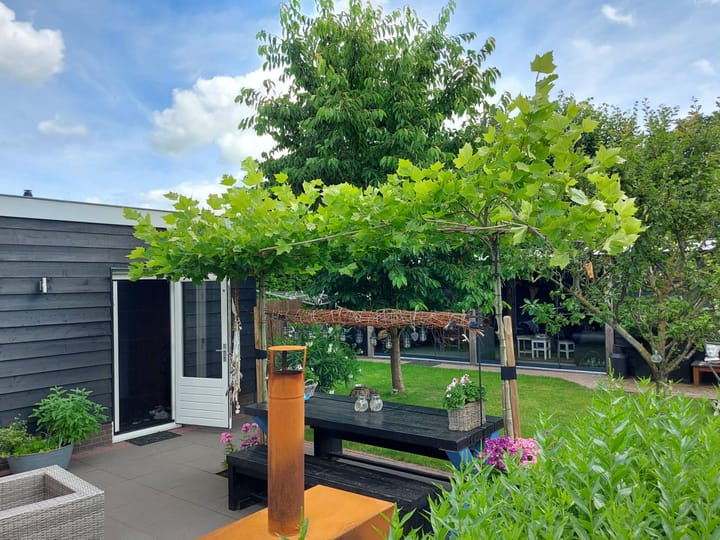 Foto 49 van Holkerweg 50-B