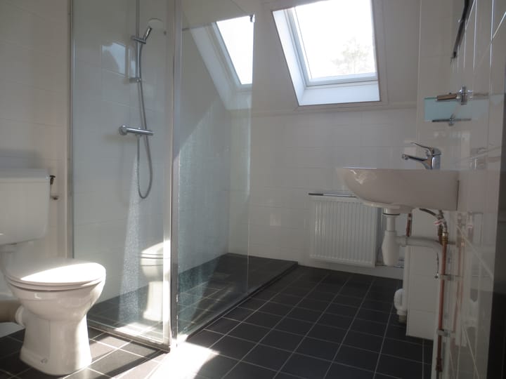 Foto 3 van Dorsvloer 69