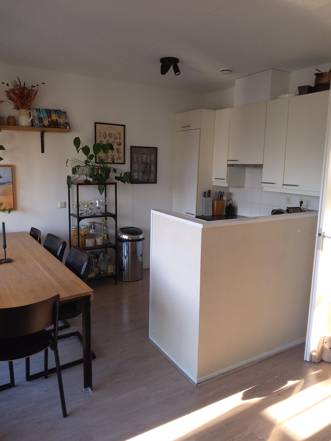 Foto 13 van Carolina MacGillavrylaan 264