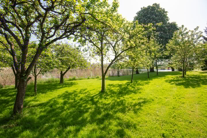 Foto 33 van Wielpad 2