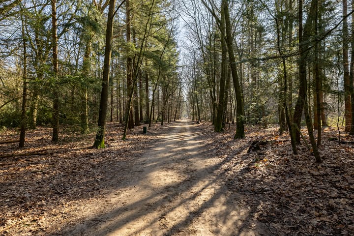 Foto 34 van Peppelerweg 1