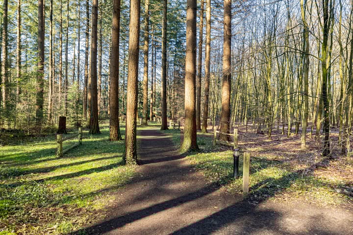 Foto 36 van Peppelerweg 1