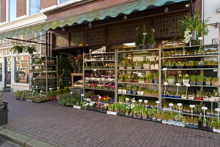 Photo 52 of Kepplerstraat 167