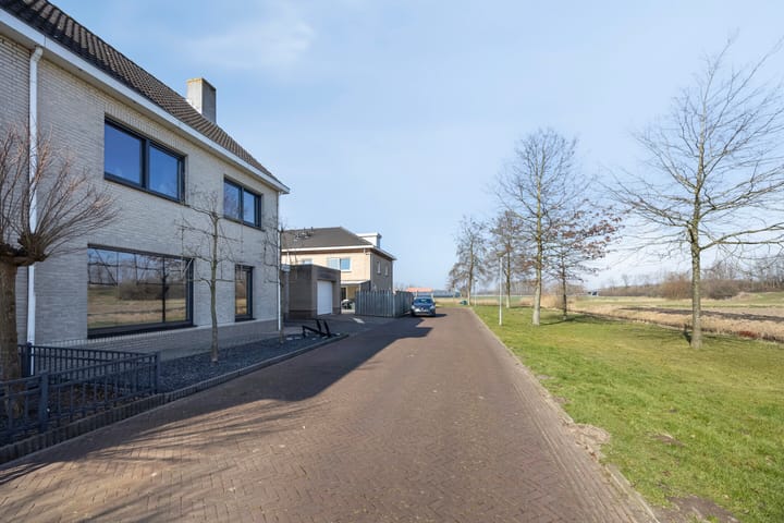 Photo 6 of Dansvlinder 10