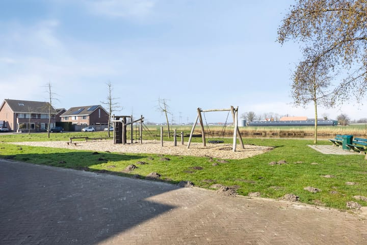 Photo 7 of Dansvlinder 10