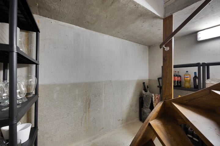 Photo 10 of Dansvlinder 10