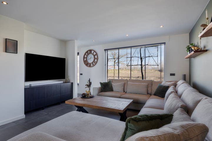 Photo 13 of Dansvlinder 10