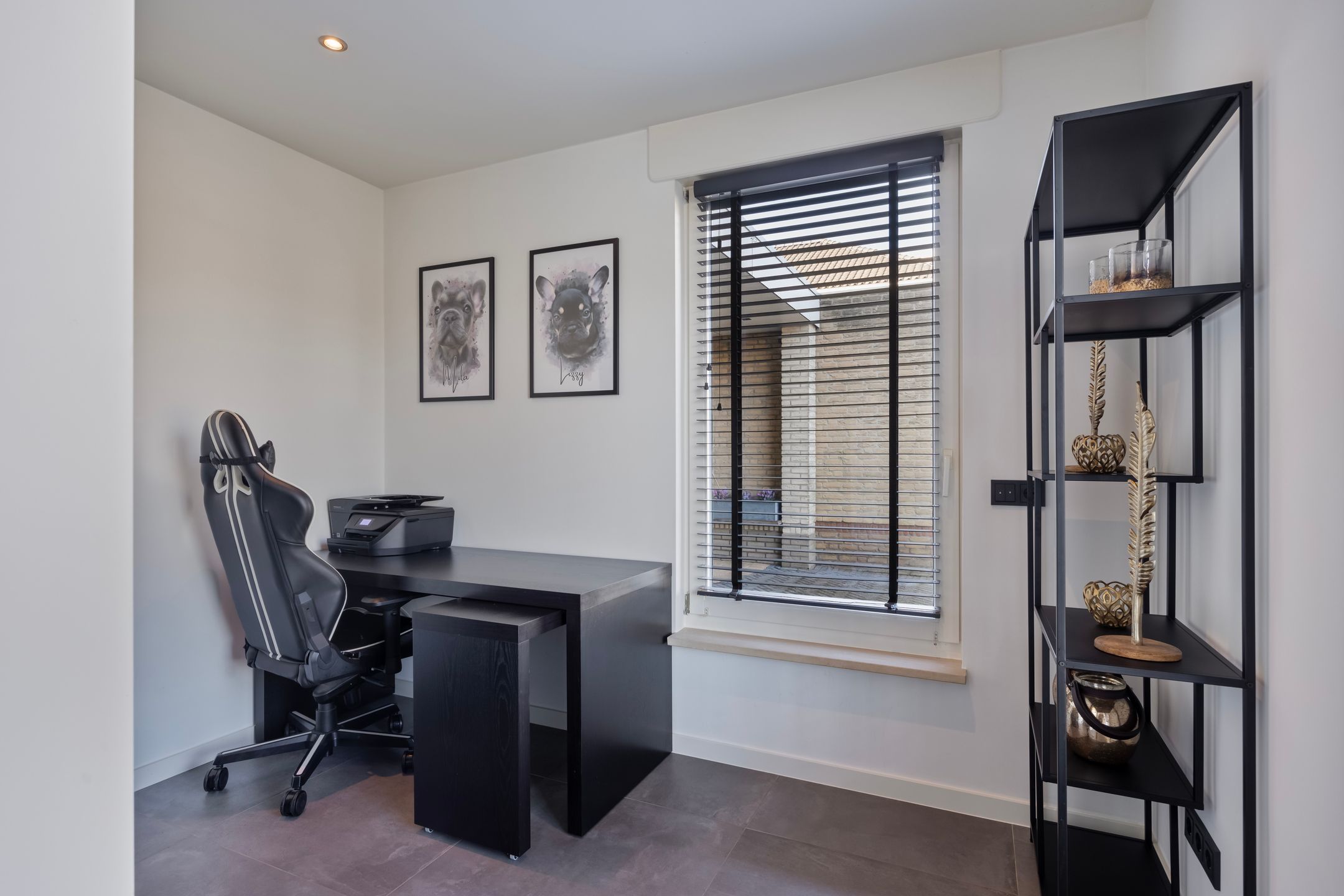 Foto 15 van Dansvlinder 10