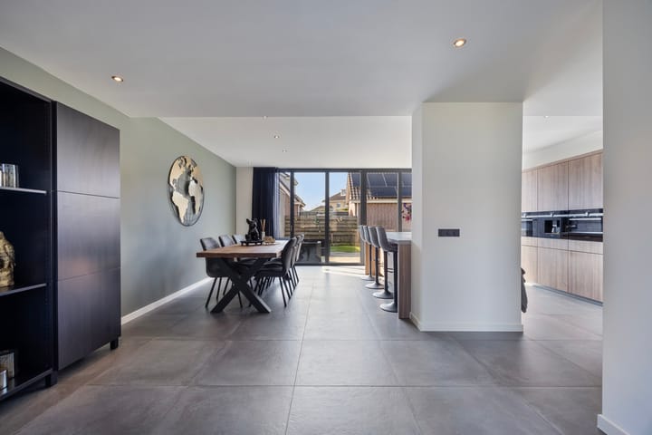 Photo 17 of Dansvlinder 10