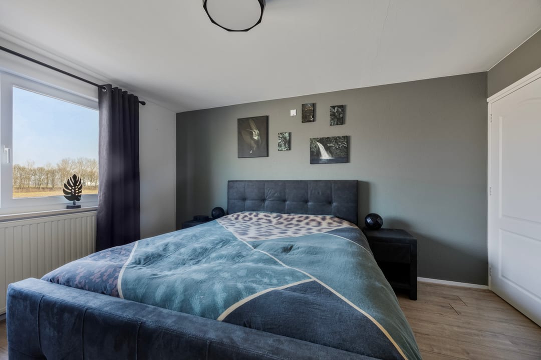 Foto 31 van Dansvlinder 10