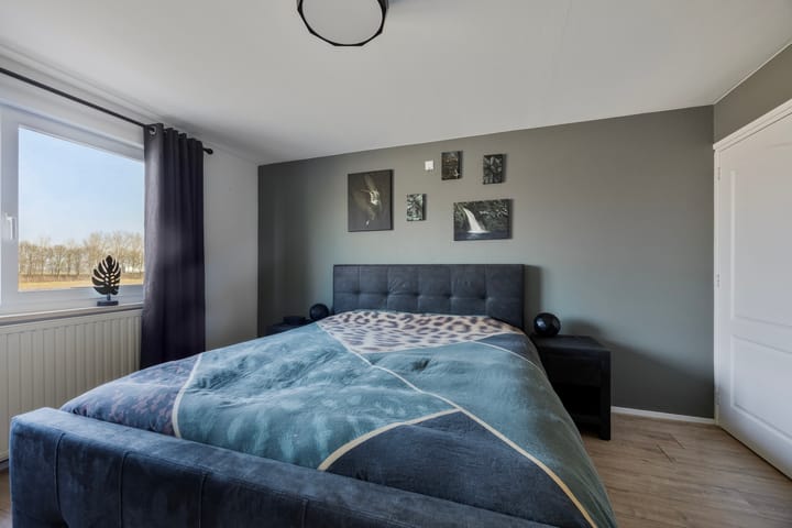 Photo 31 of Dansvlinder 10