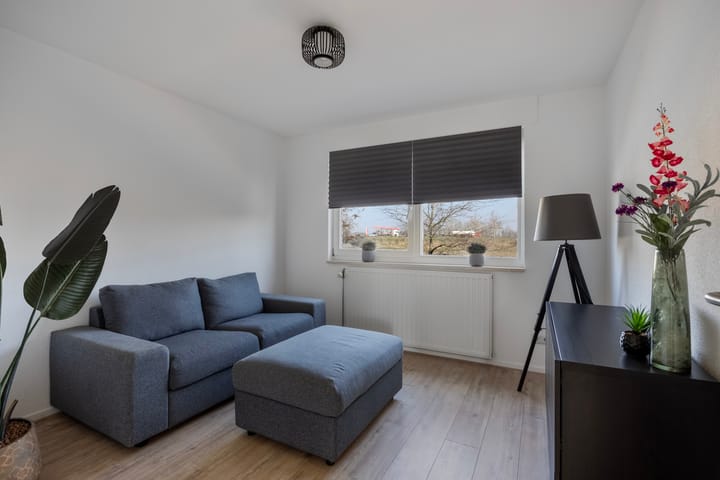 Photo 35 of Dansvlinder 10