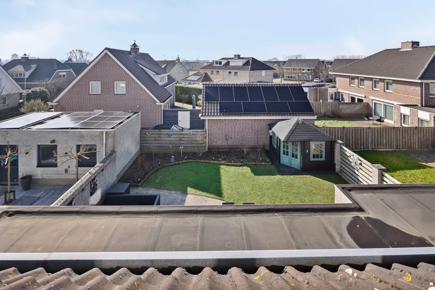 Foto 40 van Dansvlinder 10