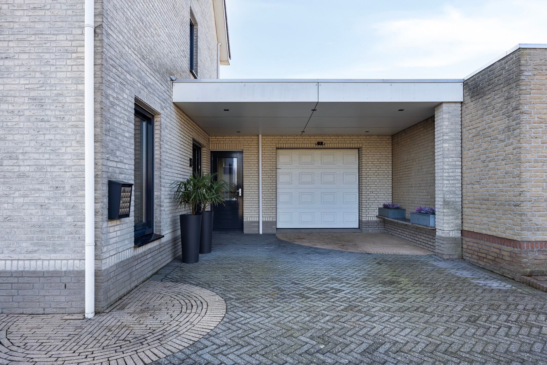 Foto 45 van Dansvlinder 10