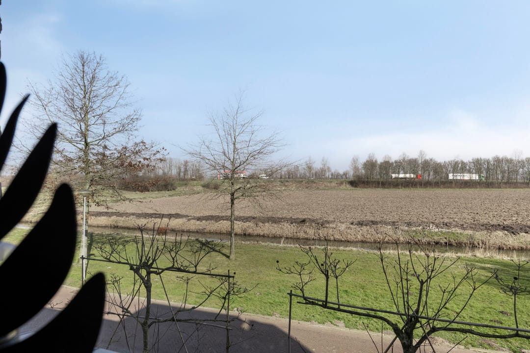 Foto 37 van Dansvlinder 10