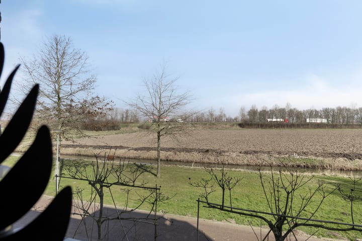 Photo 37 of Dansvlinder 10