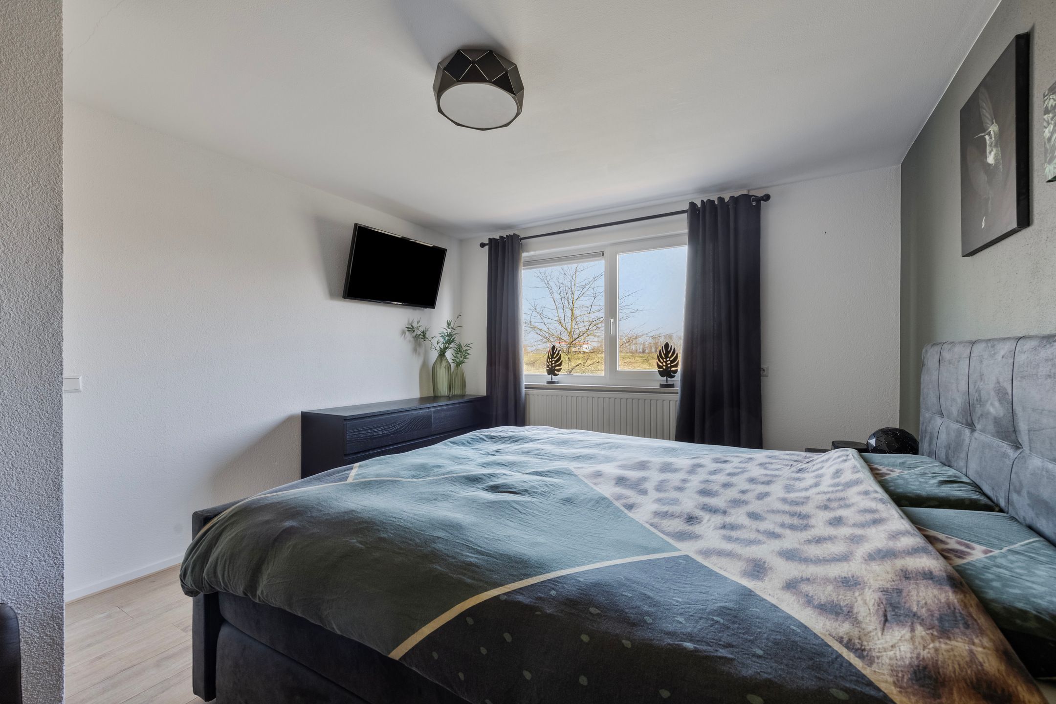 Foto 30 van Dansvlinder 10