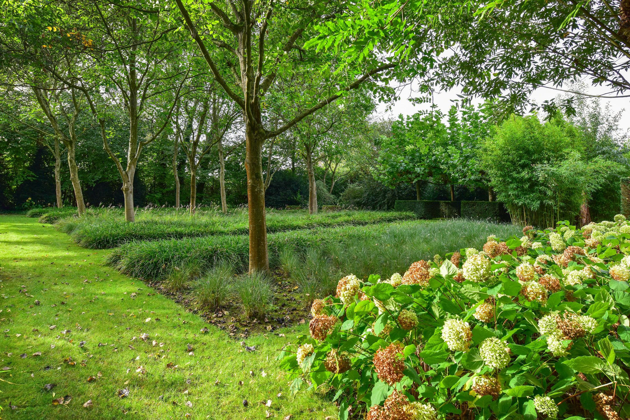 Photo 6 of Heulstraat 5