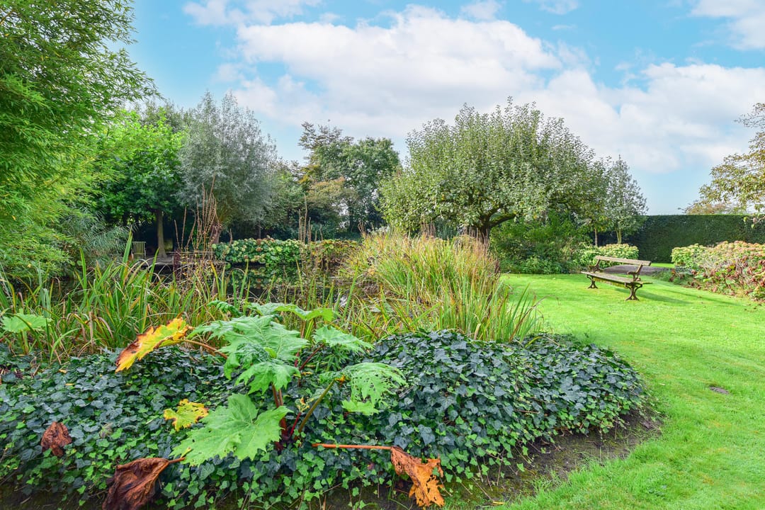 Photo 46 of Heulstraat 5