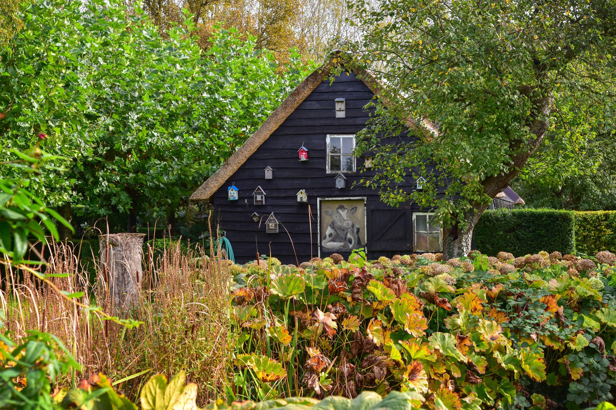 Photo 48 of Heulstraat 5