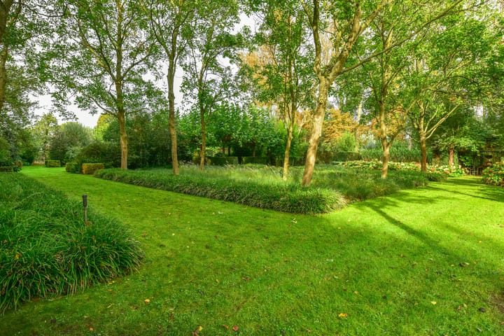 Foto 50 van Heulstraat 5