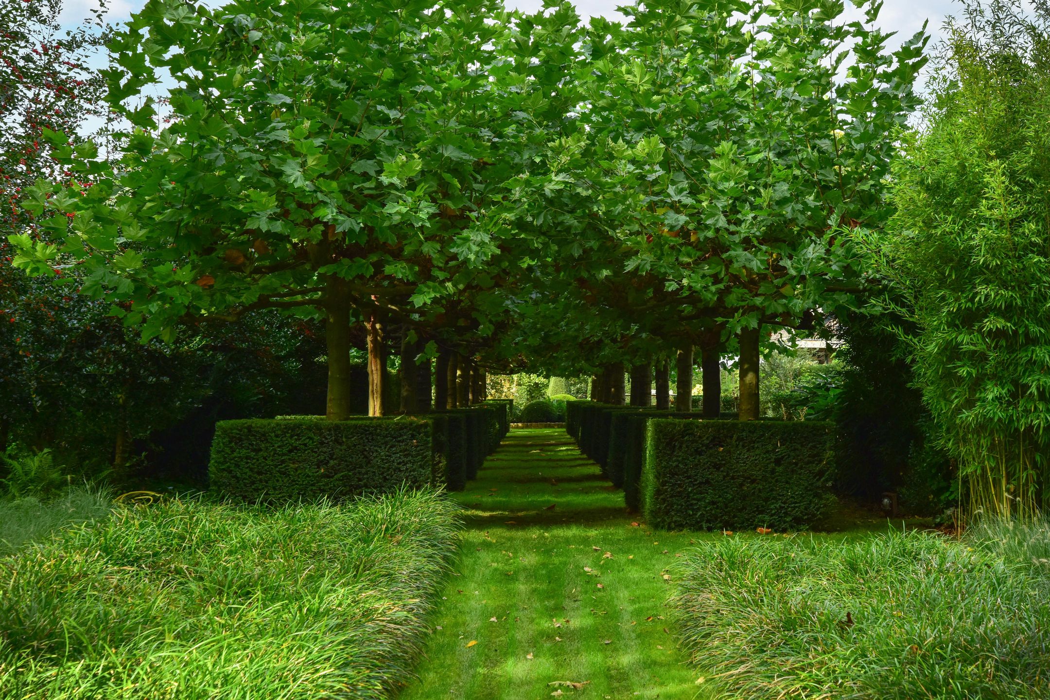 Photo 51 of Heulstraat 5