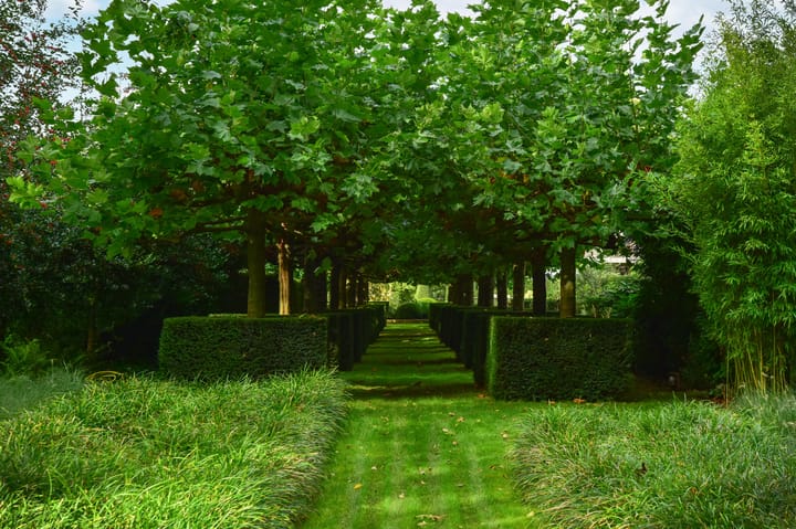 Foto 51 van Heulstraat 5