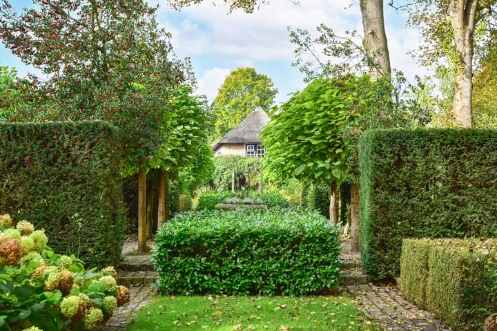 Foto 52 van Heulstraat 5