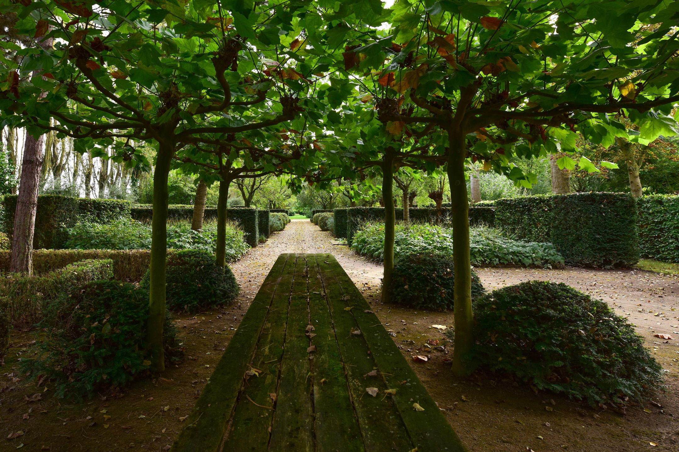 Photo 57 of Heulstraat 5