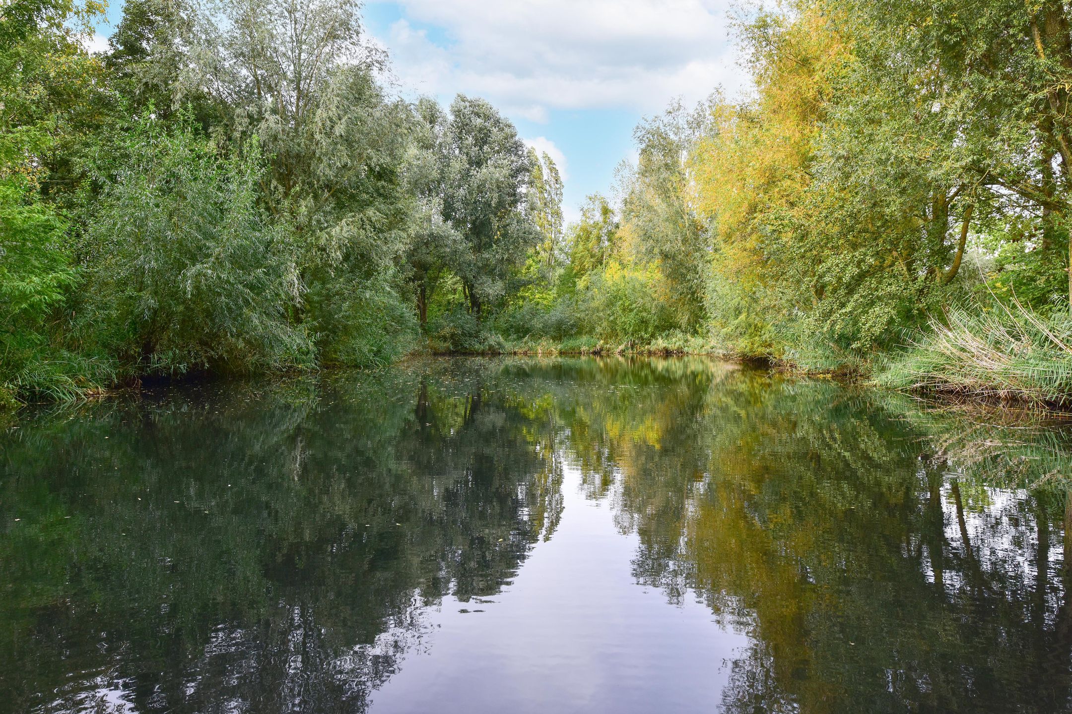 Photo 60 of Heulstraat 5