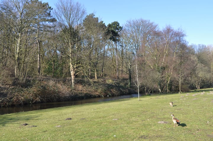 Foto 49 van Laan van Meerdervoort 1434