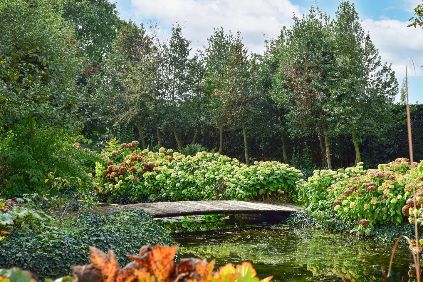 Photo 65 of Heulstraat 5