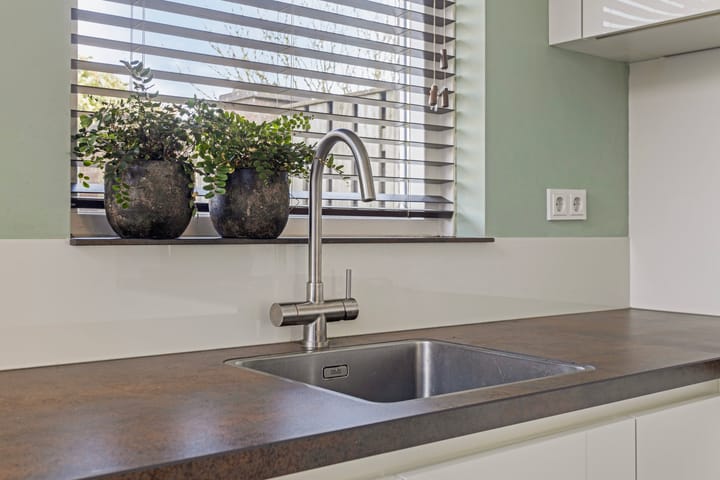 Foto 8 van Dorsvlegel 9