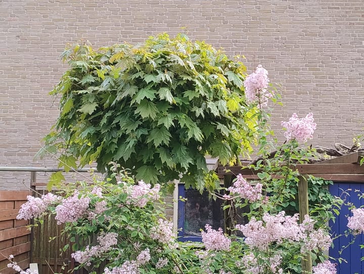 Foto 31 van Kleine Beerpad 47