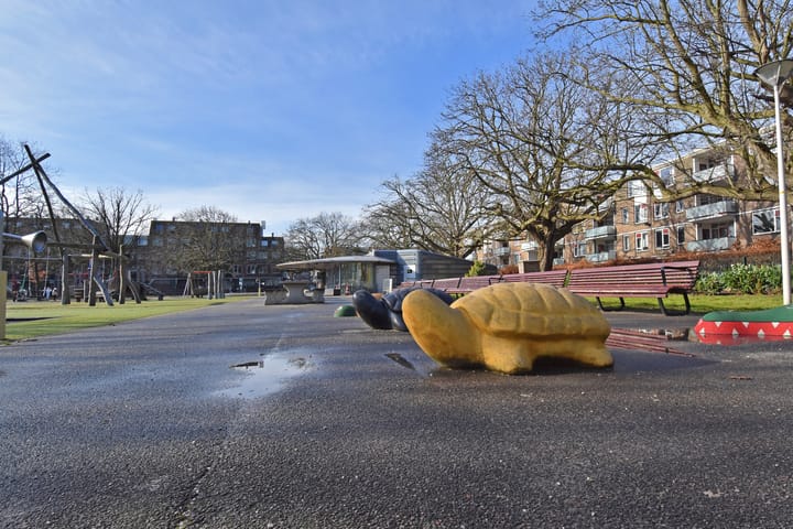 Foto 48 van Van der Duynstraat 119