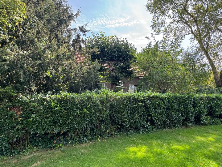 Foto 4 van Roessinkspad 4