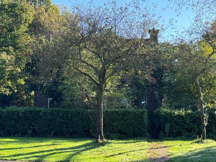 Foto 5 van Roessinkspad 4