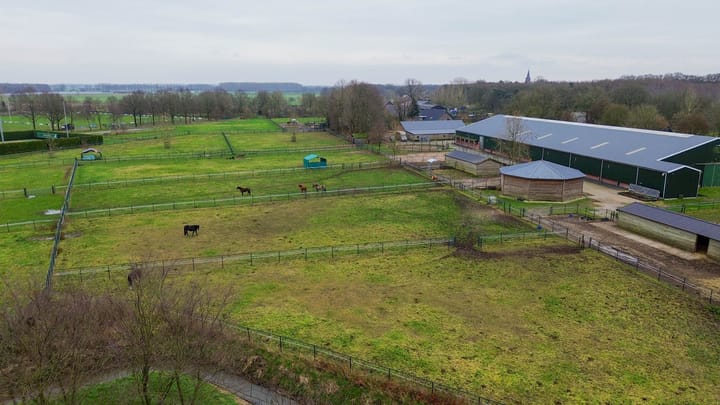 Foto 3 van Diepestraat 4