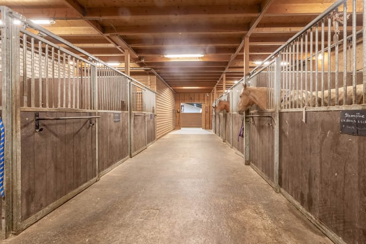 Foto 25 van Diepestraat 4