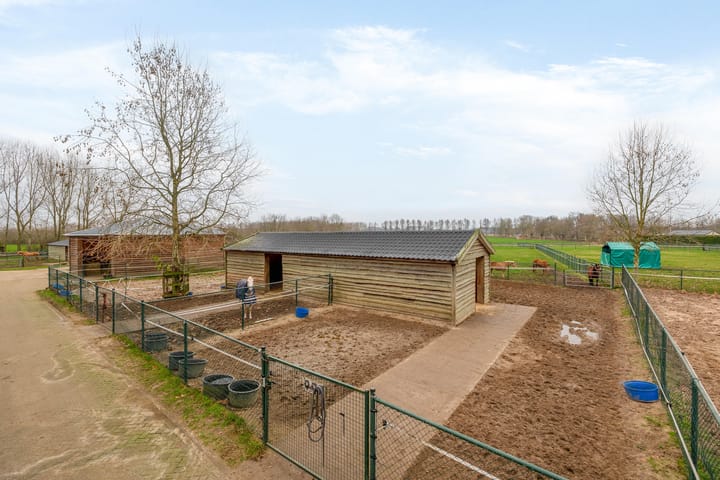 Foto 38 van Diepestraat 4