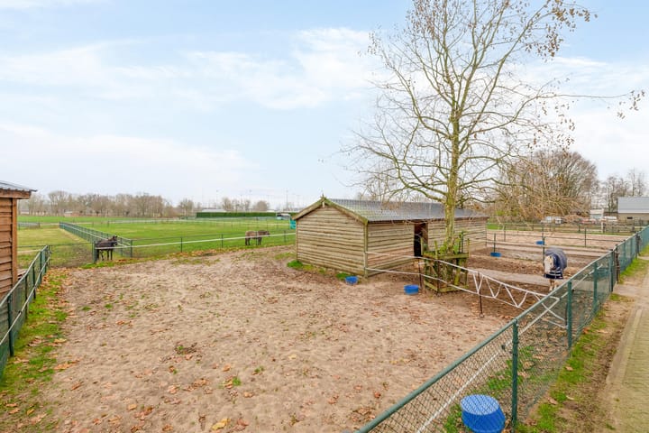 Foto 39 van Diepestraat 4