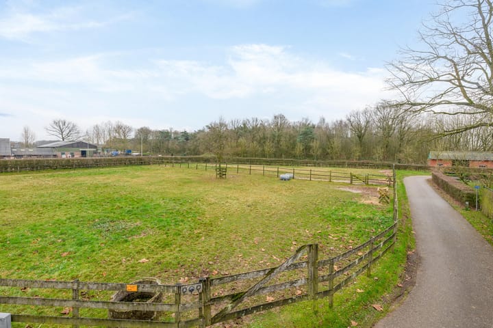 Foto 44 van Diepestraat 4