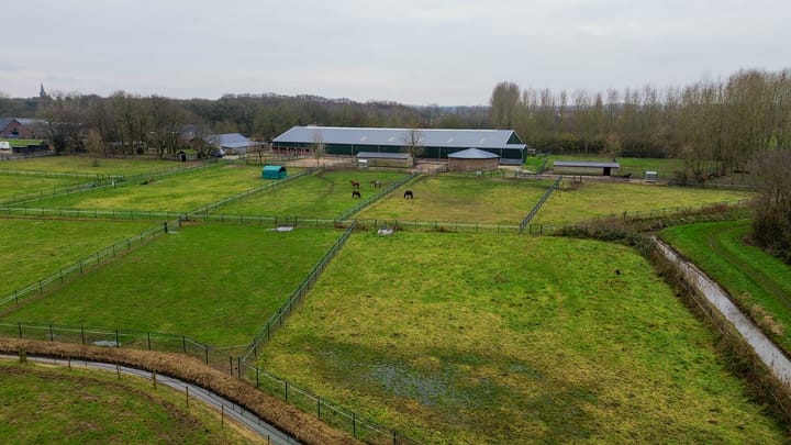 Foto 46 van Diepestraat 4