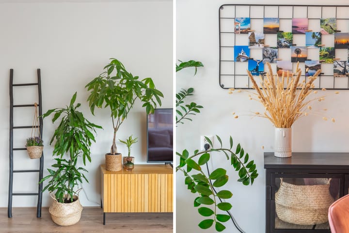 Foto 18 van Koekoekstraat 52