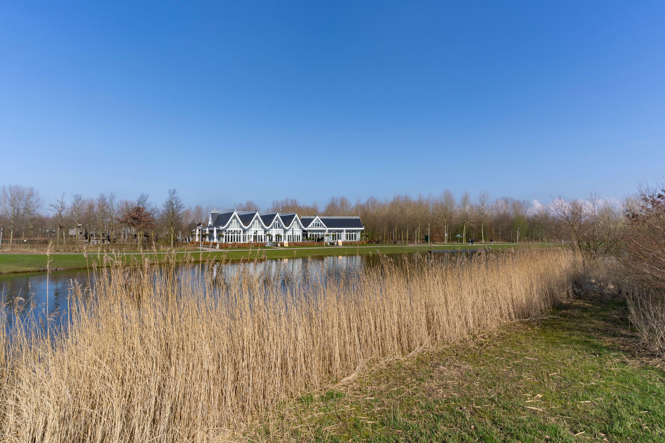 Foto 51 van Tweede Westerparklaan 179