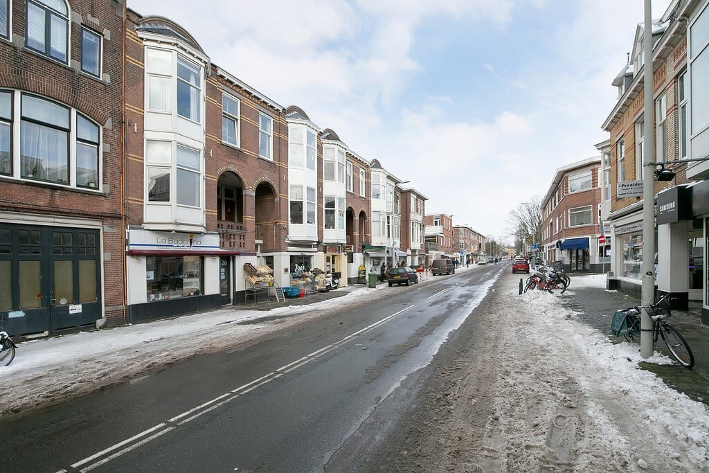 Photo 25 of Theresiastraat 228