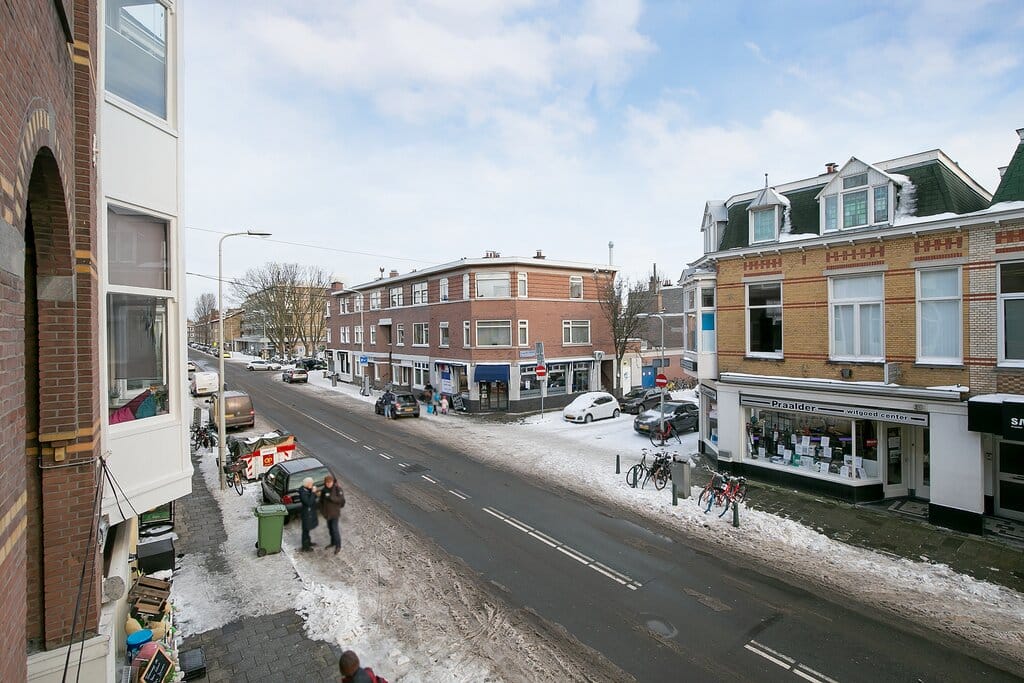 Photo 26 of Theresiastraat 228